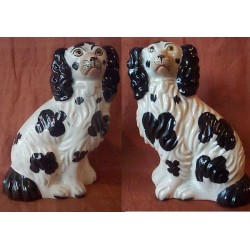 Pair of Black and White Spaniels