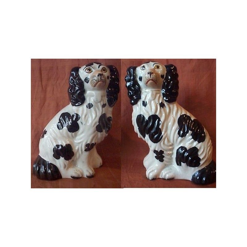 Pair of Black and White Spaniels