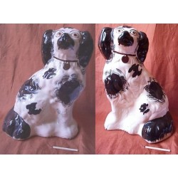 Pair of Spaniel