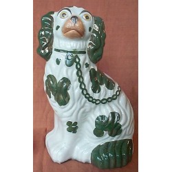 Green patch Spaniel