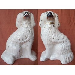 Pair of Spaniels