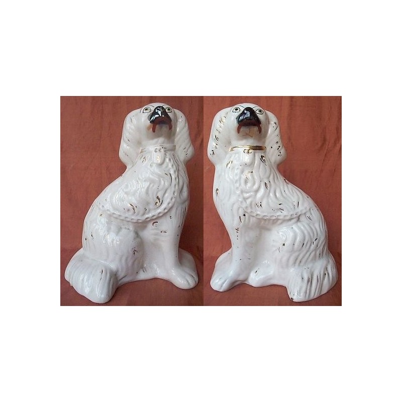 Pair of Spaniels