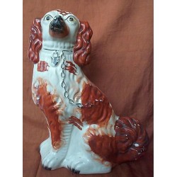 Red Patch Spaniel