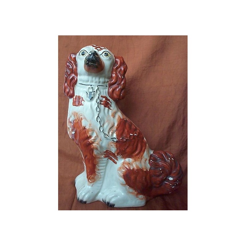 Red Patch Spaniel