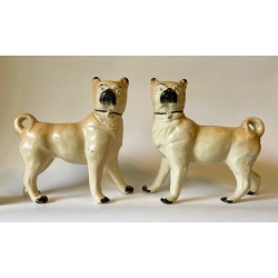 Staffordshire Pottery Pair of Pug dogs
