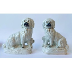 Staffordshire Pair of bearded Collies