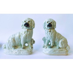 Staffordshire Pottery Pair of bearded Collies