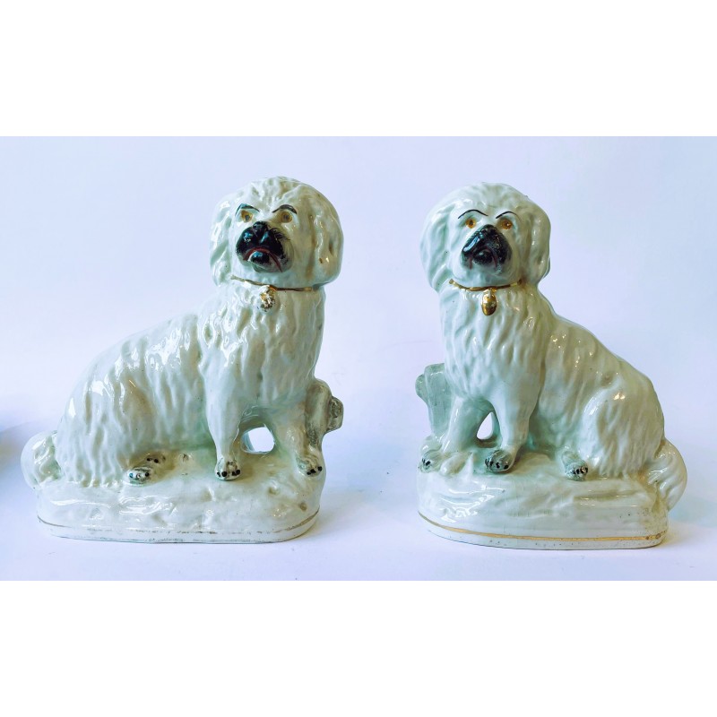 Staffordshire Pottery Pair of bearded Collies