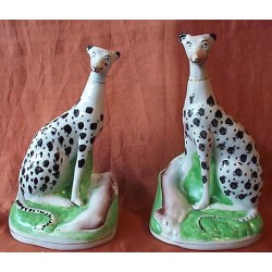 Pair Sealed Dalmations