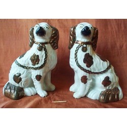 Pair Spaniels