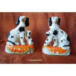 Pair Spaniels with pups on cushions