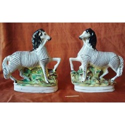 Pair Zebras