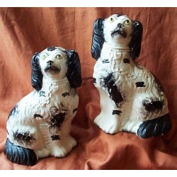 Pair black patch Spaniels