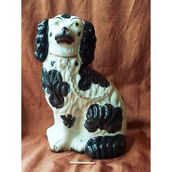 Black Patch Spaniel