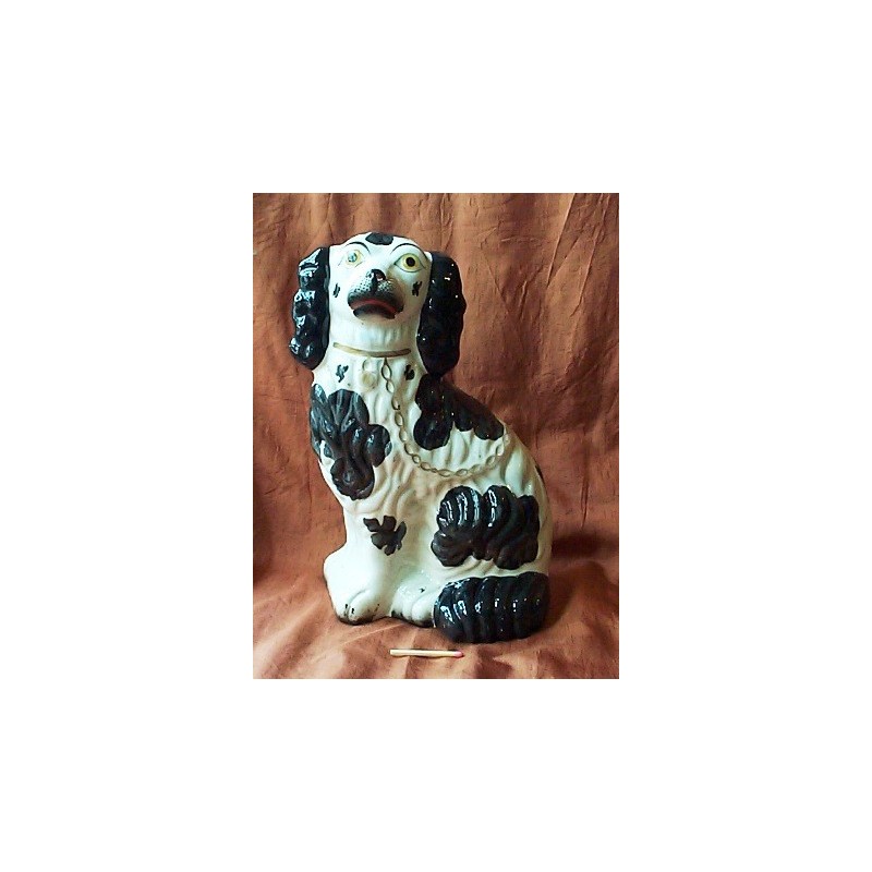 Black Patch Spaniel