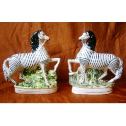 Pair of prancing Zebras