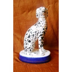 Dalmation dog