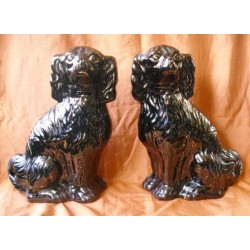 Black Spaniels, pair