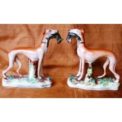 Pair standing Greyhounds