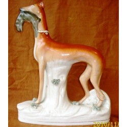 Standing Greyhound