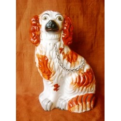 Red patch Spaniel