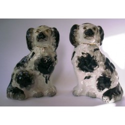 Pair Spaniels