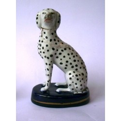 Dalmation