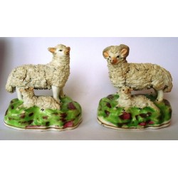 Pair ewe and ram with lambs