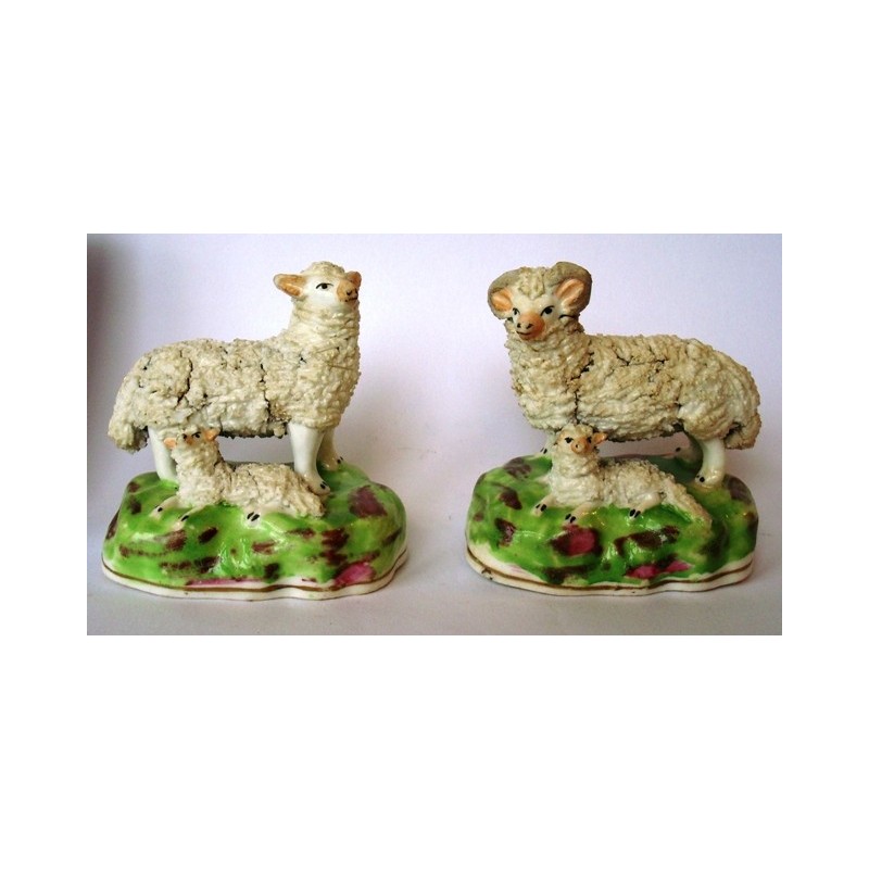 Pair ewe and ram with lambs