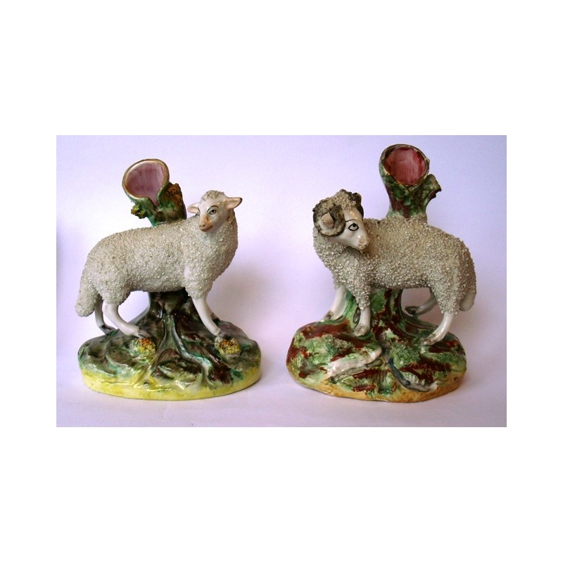 Matched pair ewe and ram