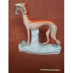 Standing greyhound