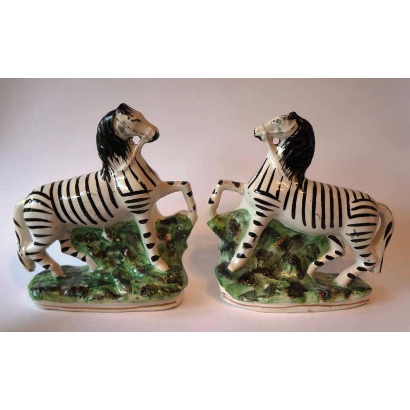 Pair Zebras