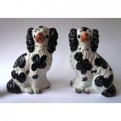 Pair Spaniels